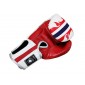 Kanong Muay Thai Kick Boks Handschoenen : Olifant/Wit