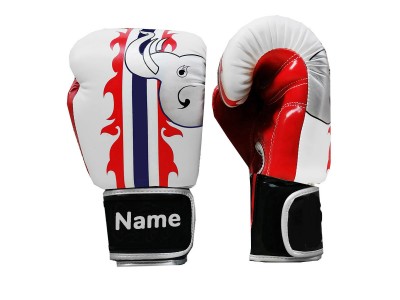 Muay Thai Bokshandschoenen Ontwerpen : KNGCUST-020